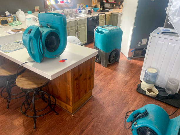 Best Flood damage cleanup  in Lawrenceville, GA