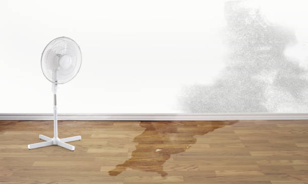 Best 24-hour water damage restoration  in Lawrenceville, GA
