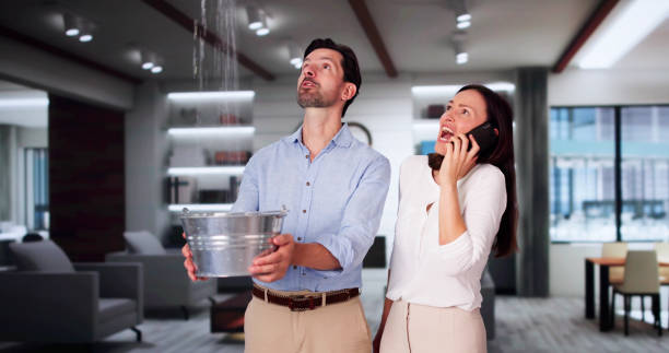 Best Professional water damage repair  in Lawrenceville, GA